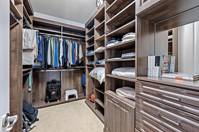 spacious closet with light colored carpet