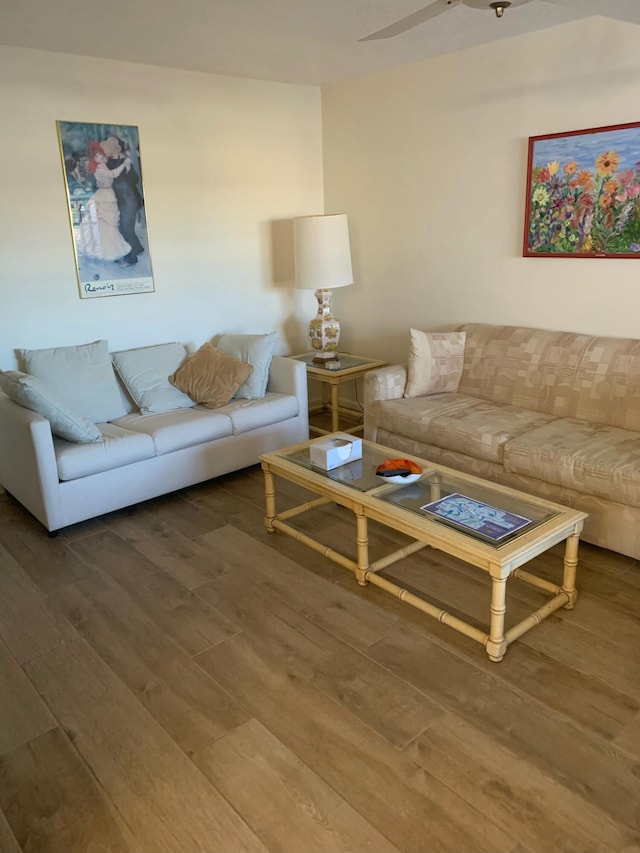 living room featuring wood-type flooring