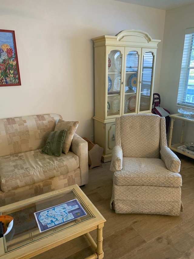 living room with hardwood / wood-style floors