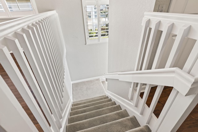 stairway featuring carpet floors