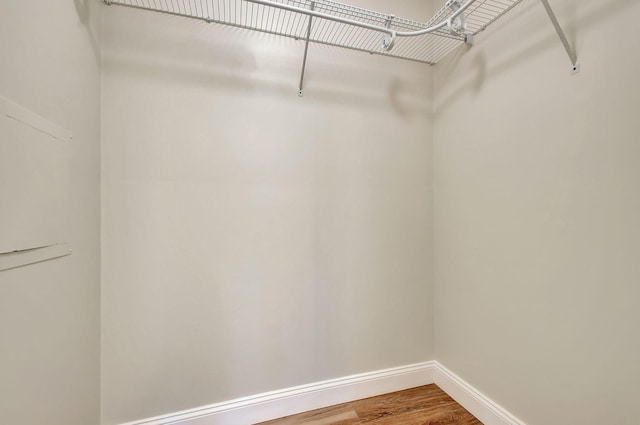 spacious closet featuring hardwood / wood-style flooring