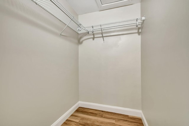 walk in closet featuring hardwood / wood-style flooring