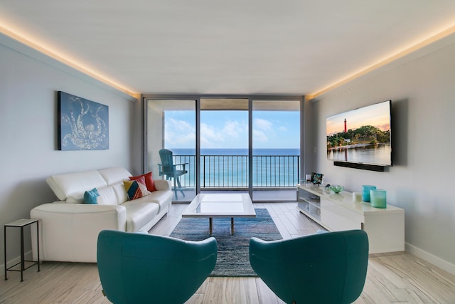 living room featuring light hardwood / wood-style flooring and a wall of windows