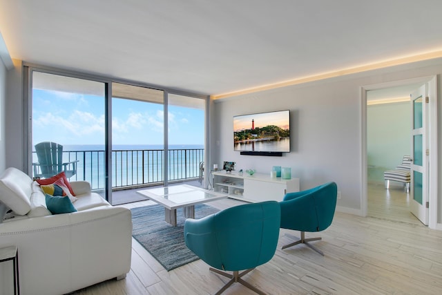 living room featuring light hardwood / wood-style flooring and expansive windows