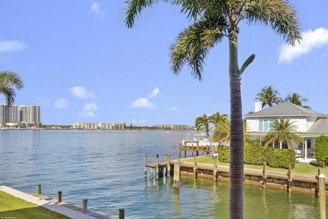 dock area with a water view