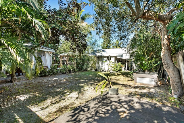 view of yard featuring a patio area