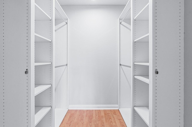 spacious closet featuring hardwood / wood-style flooring