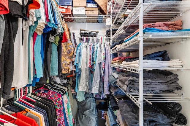 view of spacious closet