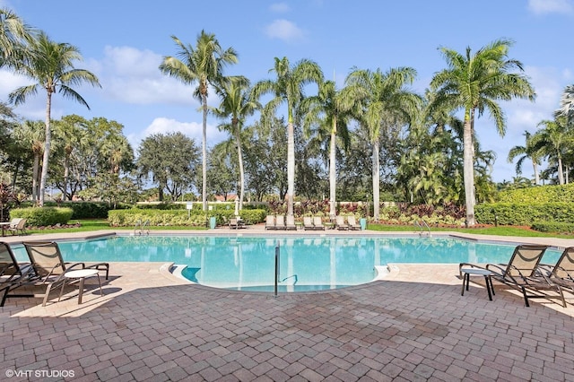 view of swimming pool with a patio area