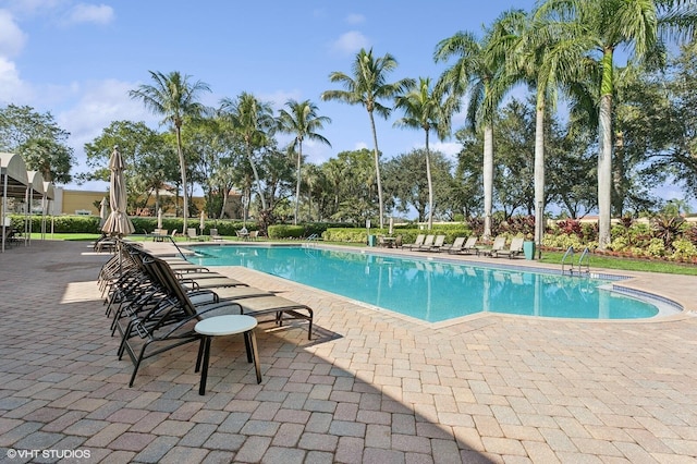 view of swimming pool with a patio