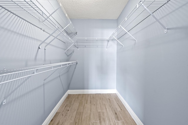 walk in closet with wood-type flooring