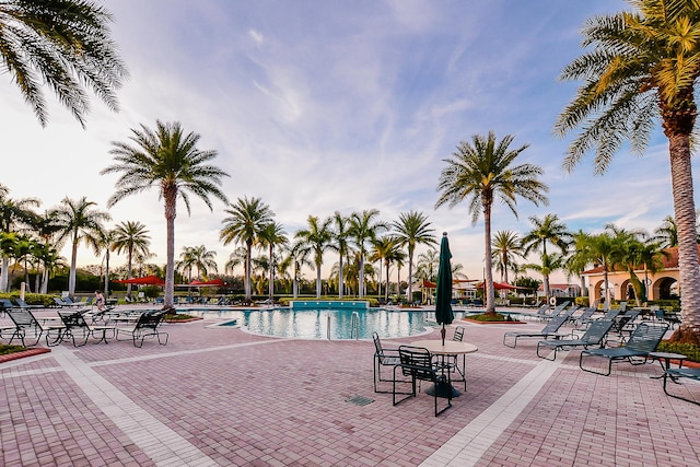 view of swimming pool with a patio