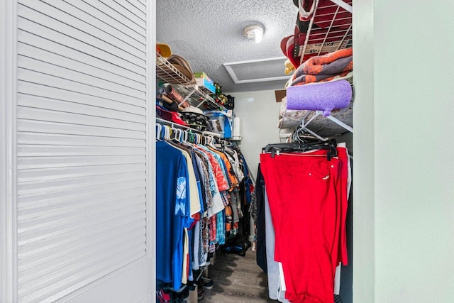 walk in closet featuring hardwood / wood-style flooring