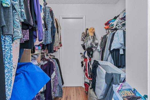 walk in closet featuring hardwood / wood-style flooring