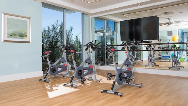 workout area featuring ceiling fan, expansive windows, plenty of natural light, and wood-type flooring