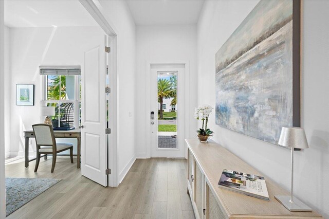 entrance foyer with plenty of natural light and light hardwood / wood-style floors