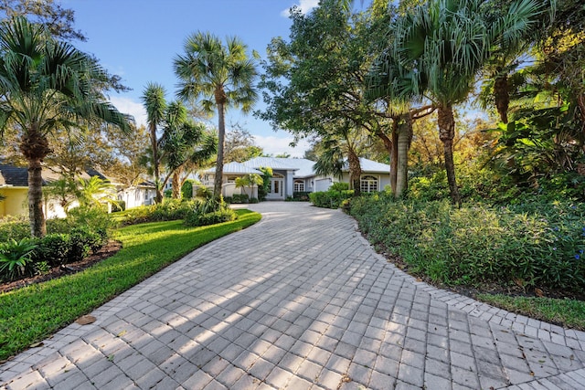 ranch-style house with a front lawn