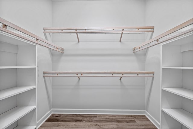 walk in closet with hardwood / wood-style flooring