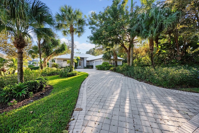 view of front of property with a front lawn