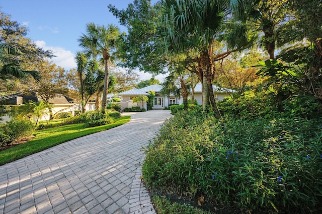 view of front of house featuring a front yard