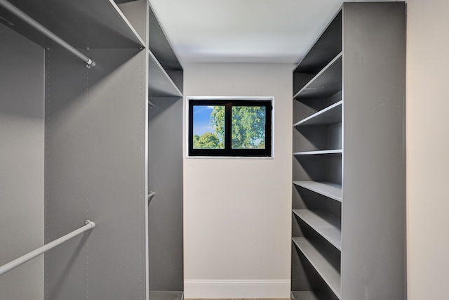 view of walk in closet