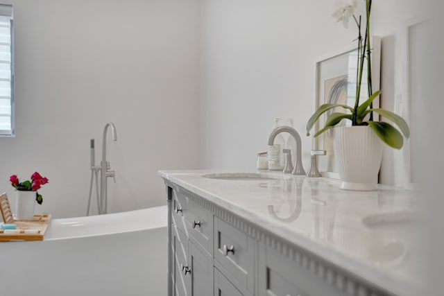 bathroom with a washtub and vanity