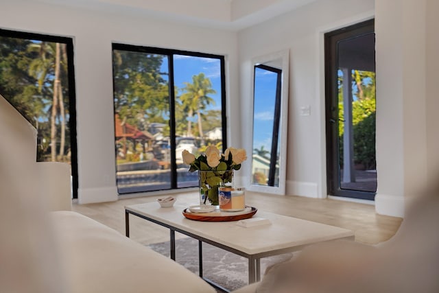 interior space featuring light wood-type flooring and a wealth of natural light