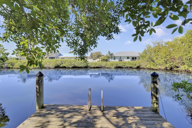 dock area with a water view