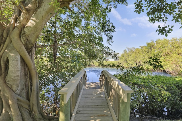 dock area featuring a water view