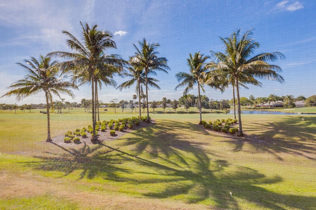 view of home's community with a lawn