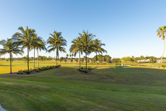 view of property's community with a lawn