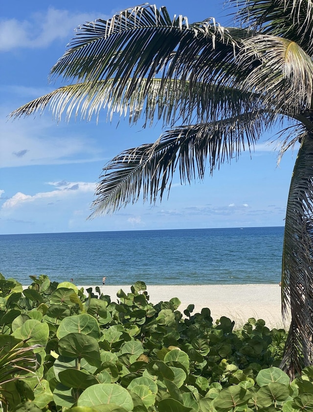 water view featuring a beach view