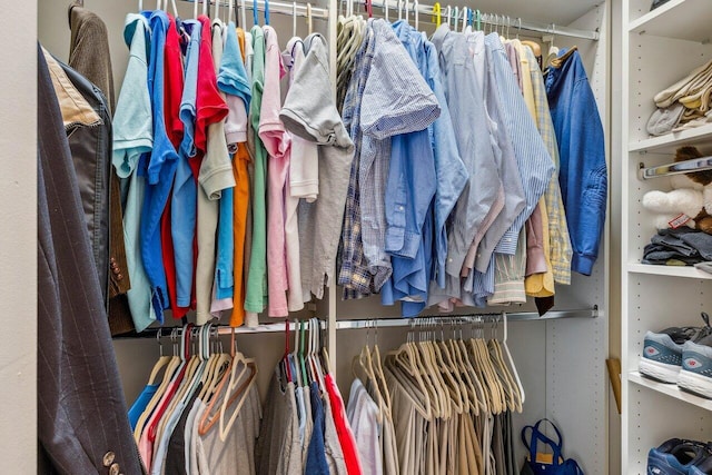 view of walk in closet