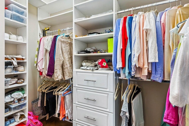 view of spacious closet