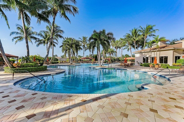 view of swimming pool featuring a patio