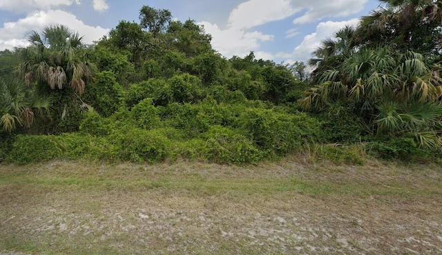 0 Bucknell Rd, Labelle FL, 33935 land for sale