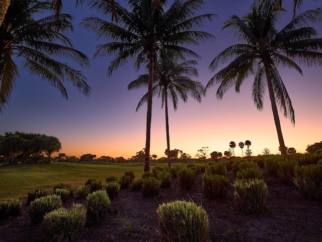 view of nature at dusk