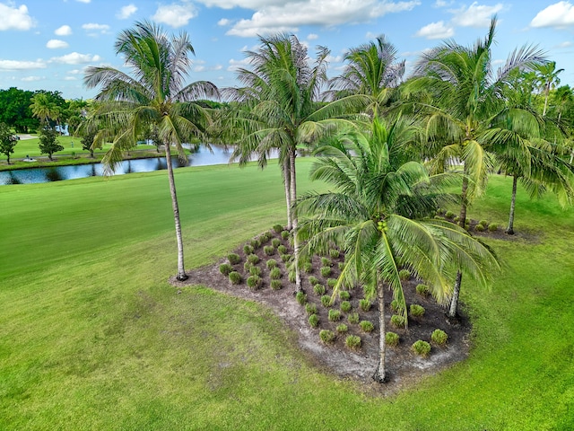 view of community with a yard and a water view