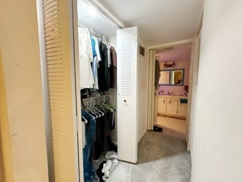 view of closet