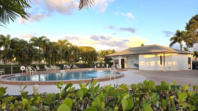 view of swimming pool with a patio