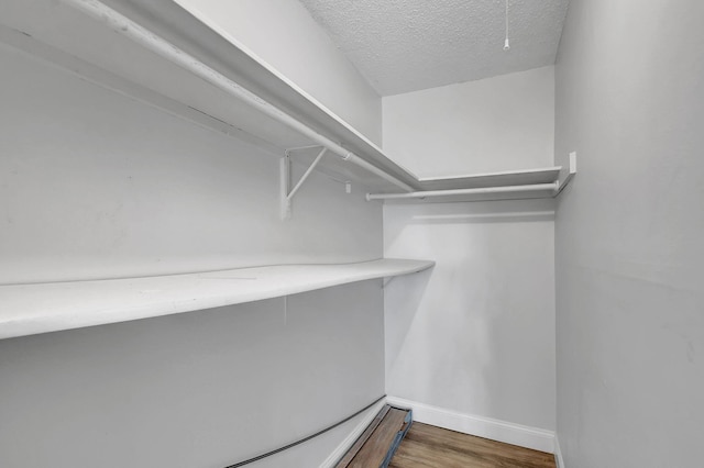 walk in closet with hardwood / wood-style flooring