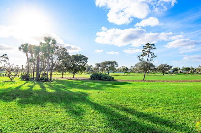 view of community featuring a yard