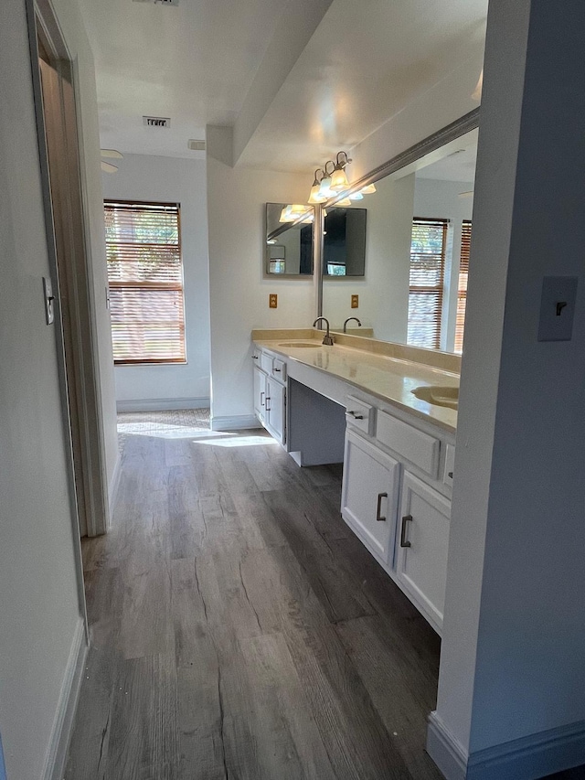 bathroom with vanity and wood-type flooring