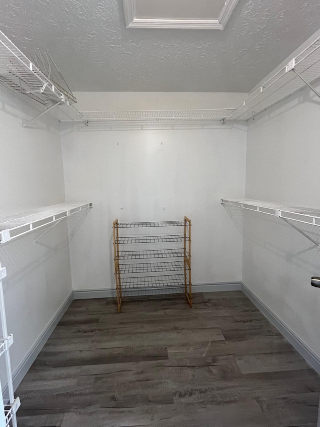 walk in closet with dark wood-type flooring