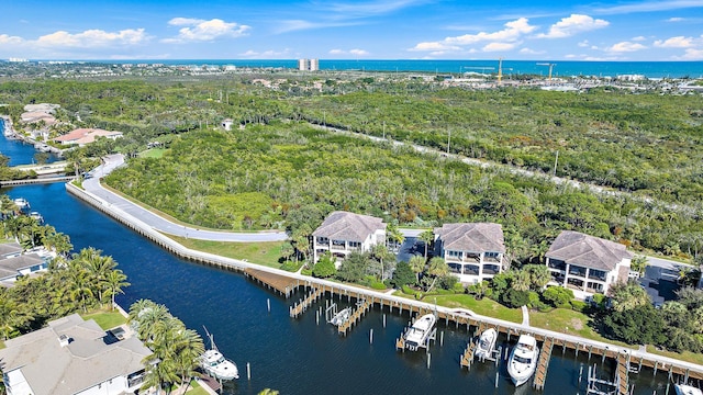 bird's eye view featuring a water view