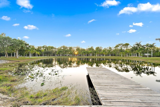 dock area featuring a water view