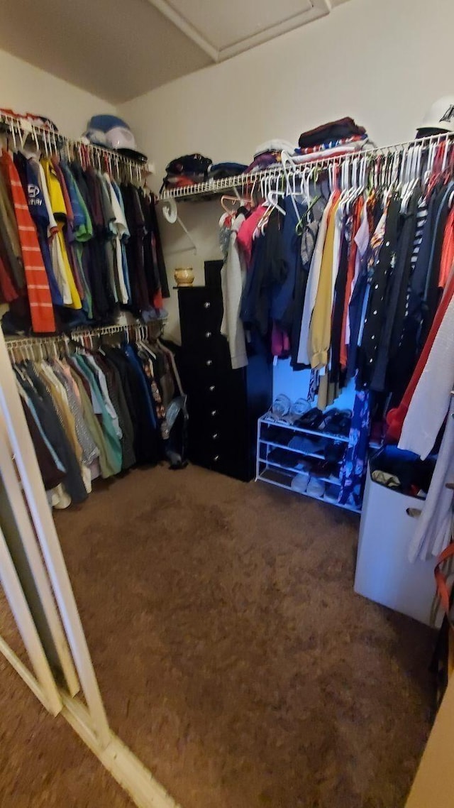 spacious closet with dark carpet