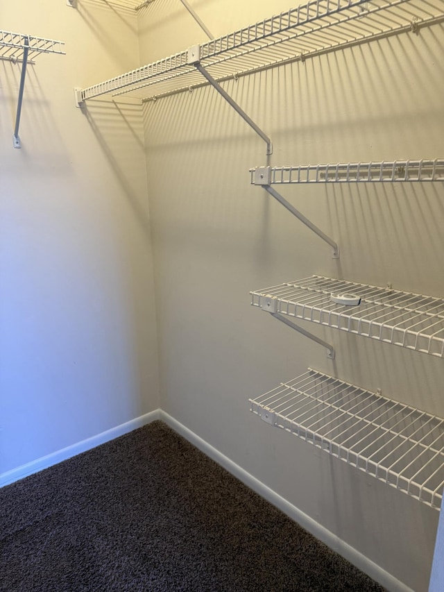 walk in closet with carpet flooring