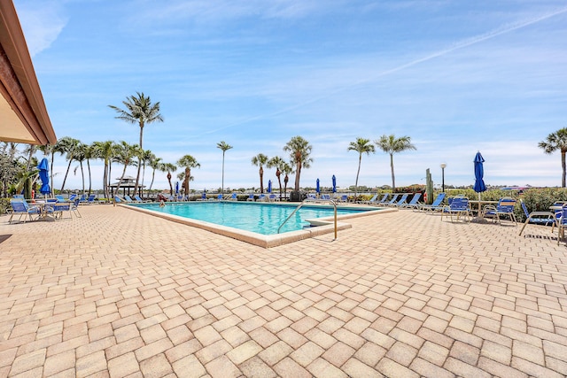 view of swimming pool featuring a patio area