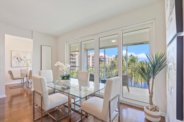 dining room featuring hardwood / wood-style floors and a wealth of natural light